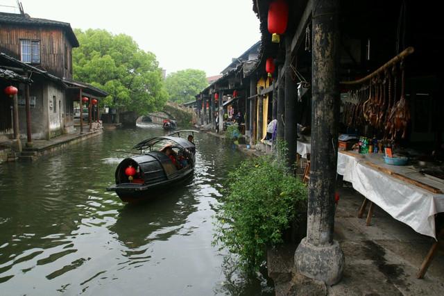 植物大战僵尸7